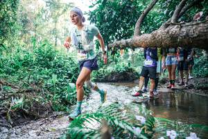 BIB: 
                            <button type="button" onclick="openModal(25450440)" class="btn btn-primary btn-sm float-right btn-popup" data-toggle="modal" data-target=".modal-high-quality">
                        <i class="fas fa-shopping-cart"></i> Add to Cart
                    </button>
                                            <button type="button" onclick="isThisMe(25450440, true)" class="btn btn-success btn-sm float-right btn-popup btn-isme hidden" data-toggle="tooltip" data-placement="bottom" title="นี่คือรูปของคุณใช่ไหม คลิกที่นี่เพื่อเอาเข้าอัลบั้ม">
                        <i class="fas fa-plus"></i> Add to album
                    </button>
                    <button type="button" onclick="isThisMe(25450440, false)" class="btn btn-warning btn-sm float-right btn-popup btn-isnotme hidden">
                        <i class="fas fa-ban"></i> Remove from album
                    </button>